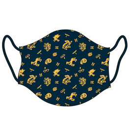 MASCARILLA WARNER HARRY POTTER V2 (ADULTOS)