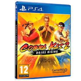 COBRA KAI 2 DOJOS RISING PS4