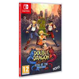 DOUBLE DRAGON GAIDEN RISE OF THE DRAGONS SWITCH